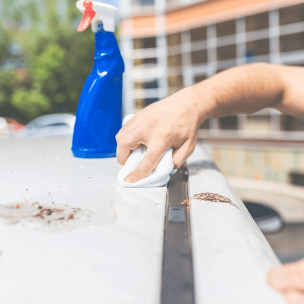 Balkon Zeminindeki Kuş Pisliği Nasıl Temizlenir? Pratik Yöntemler : Kapak Görseli