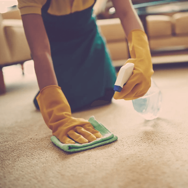 Kurumuş Yemek Lekesi Nasıl Çıkarılır? Etkili Yöntemler : Kapak Görseli